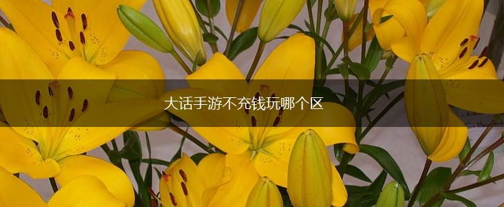 大话手游不充钱玩哪个区,第1张