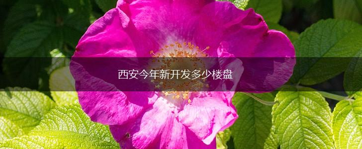 西安今年新开发多少楼盘,第1张