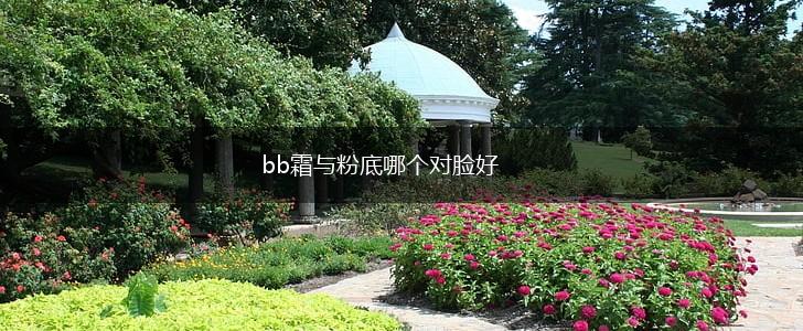 bb霜与粉底哪个对脸好,第1张
