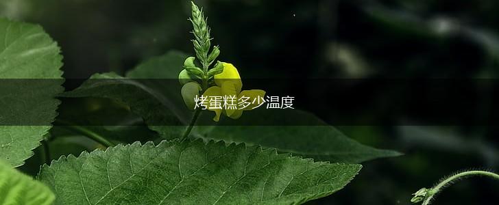 烤蛋糕多少温度,第1张