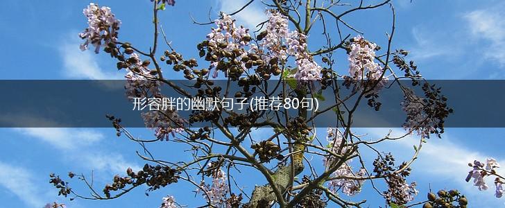 形容胖的幽默句子(推荐80句),第1张