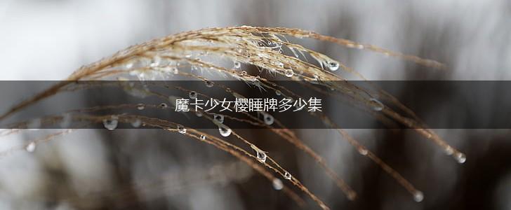 魔卡少女樱睡牌多少集,第1张
