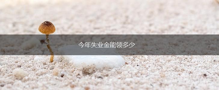 今年失业金能领多少,第1张
