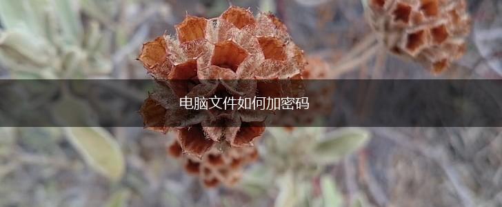 电脑文件如何加密码,第1张