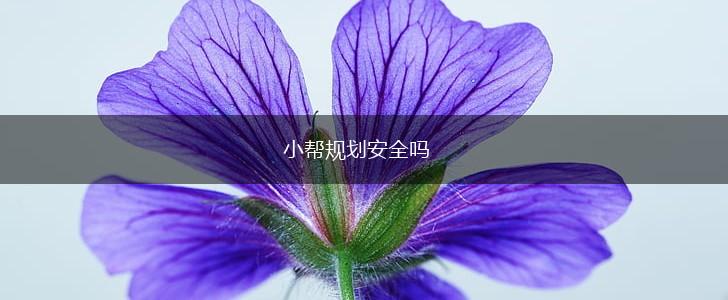 小帮规划安全吗,第1张