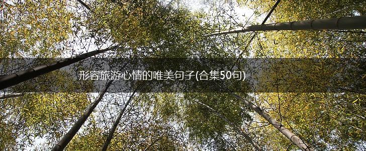 形容旅游心情的唯美句子(合集50句),第1张