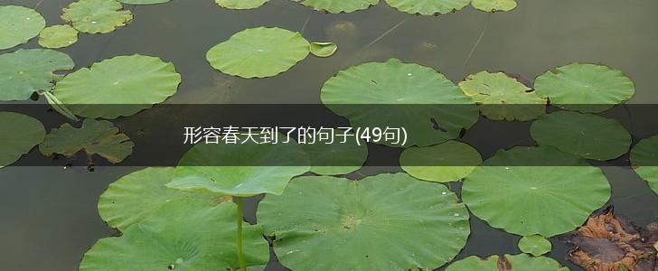 形容春天到了的句子(49句),第1张