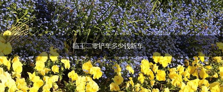 临工二零铲车多少钱新车,第1张