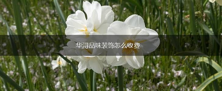 华浔品味装饰怎么收费,第1张