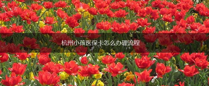 杭州小孩医保卡怎么办理流程,第1张