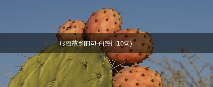 形容故乡的句子(热门10句),第1张