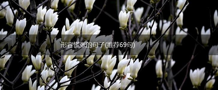 形容慌张的句子(推荐69句),第1张