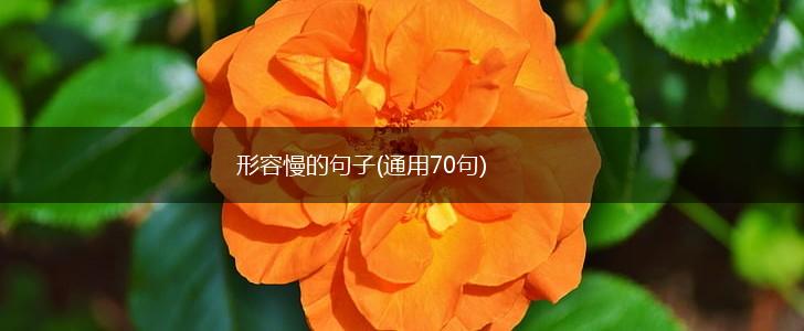 形容慢的句子(通用70句),第1张