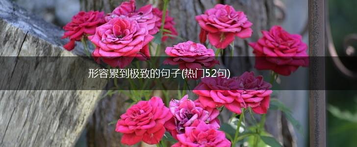 形容累到极致的句子(热门52句),第1张