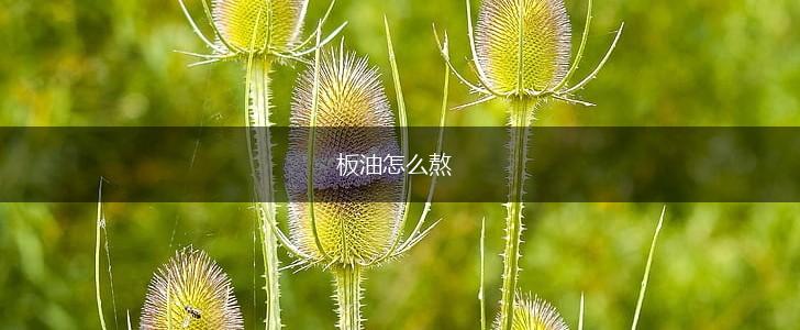 板油怎么熬,第1张