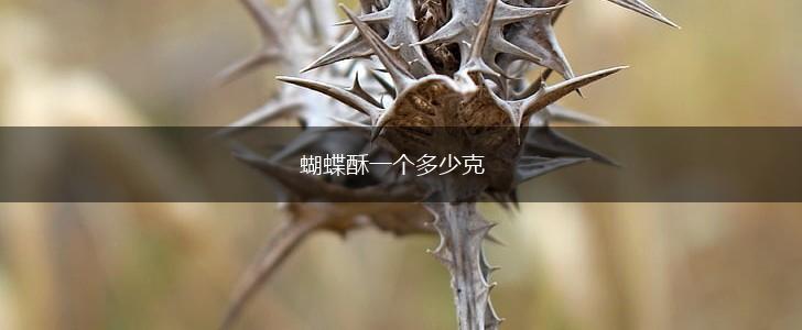 蝴蝶酥一个多少克,第1张