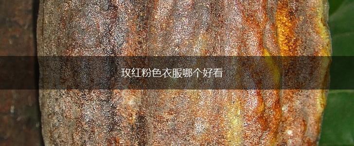 玫红粉色衣服哪个好看,第1张