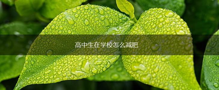 高中生在学校怎么减肥,第1张