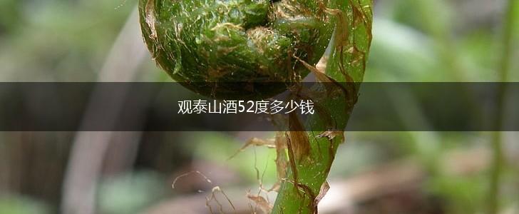 观泰山酒52度多少钱,第1张
