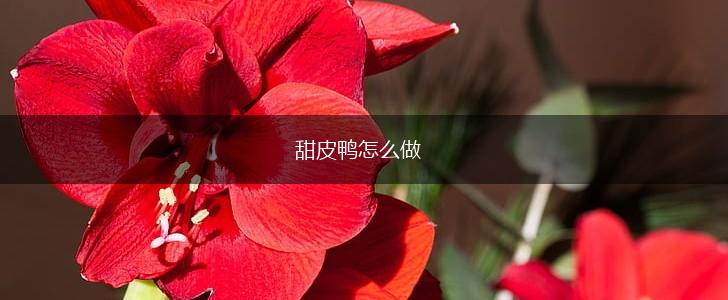 甜皮鸭怎么做,第1张