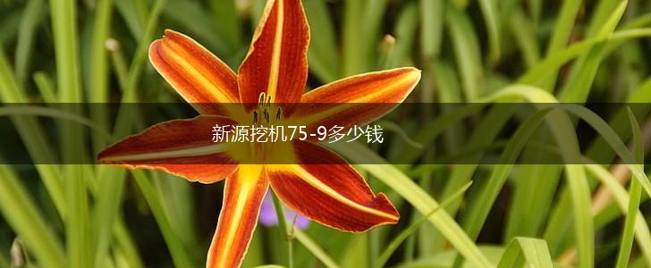 新源挖机75-9多少钱,第1张