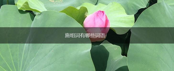 施组词有哪些词语,第1张