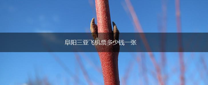 阜阳三亚飞机票多少钱一张,第1张