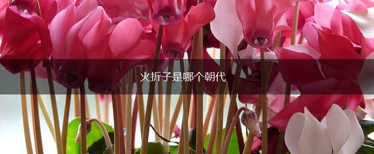 火折子是哪个朝代,第1张