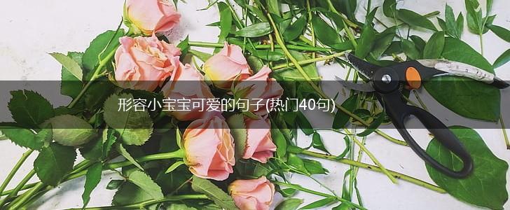 形容小宝宝可爱的句子(热门40句),第1张