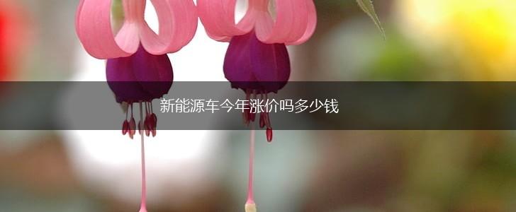 新能源车今年涨价吗多少钱,第1张