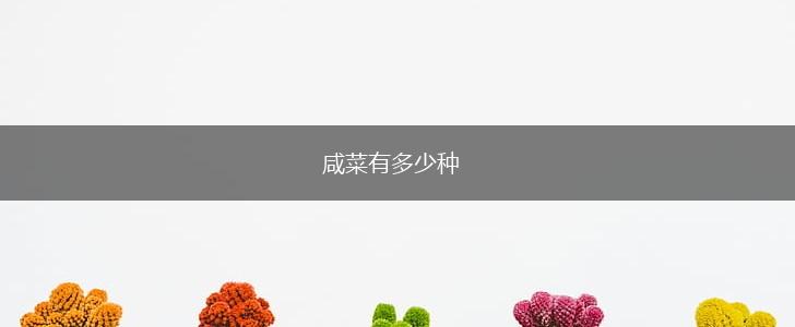 咸菜有多少种,第1张