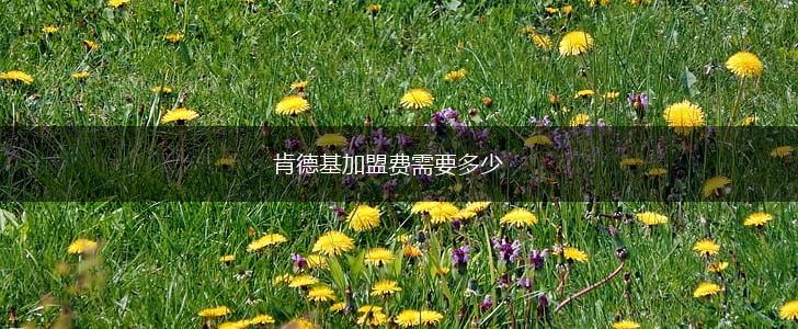 肯德基加盟费需要多少,第1张