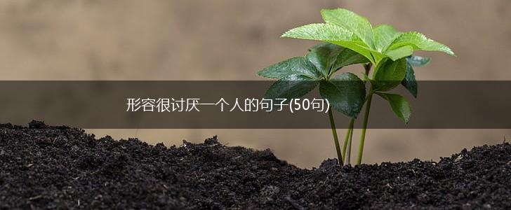 形容很讨厌一个人的句子(50句),第1张
