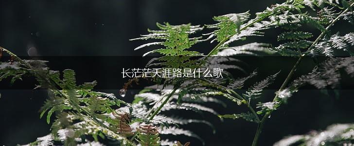 长茫茫天涯路是什么歌,第1张