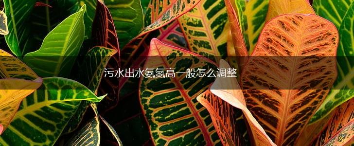 污水出水氨氮高一般怎么调整,第1张