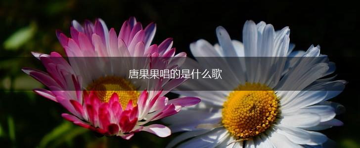 唐果果唱的是什么歌,第1张