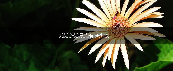 龙游旅游景点有多少钱,第1张