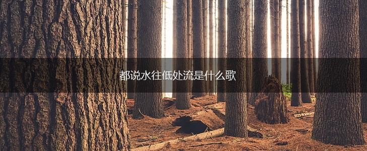 都说水往低处流是什么歌,第1张