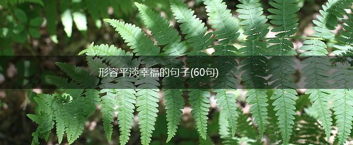 形容平淡幸福的句子(60句),第1张
