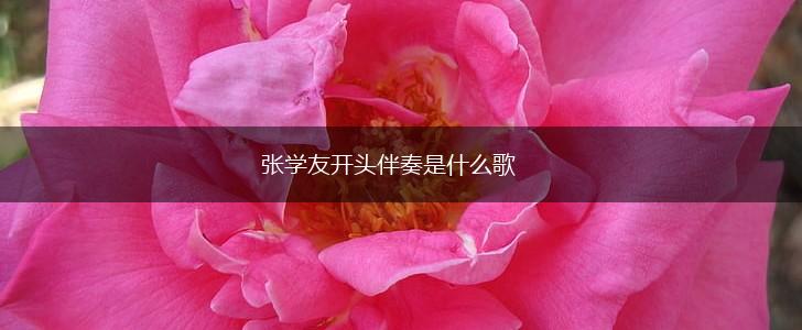 张学友开头伴奏是什么歌,第1张