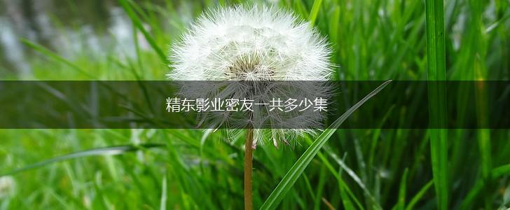 精东影业密友一共多少集,第1张