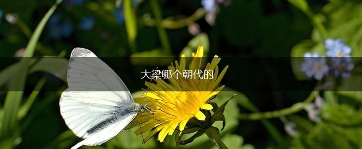 大梁哪个朝代的,第1张