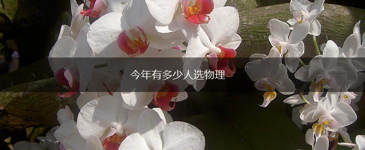 今年有多少人选物理,第1张
