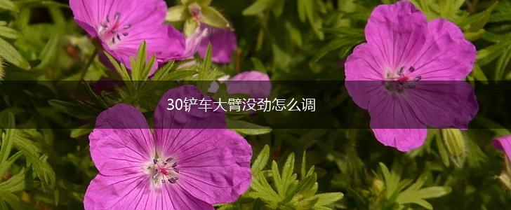 30铲车大臂没劲怎么调,第1张