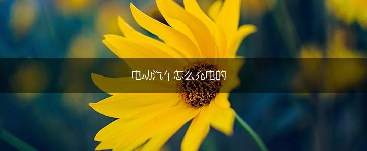 电动汽车怎么充电的,第1张