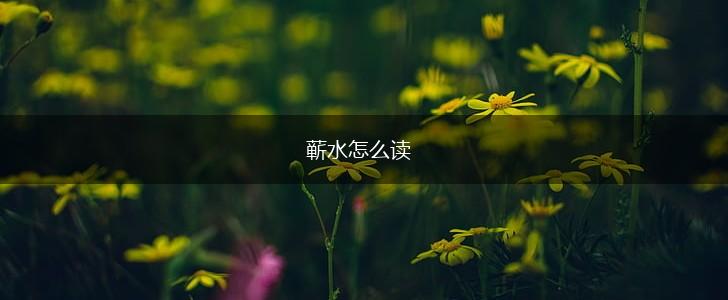 蕲水怎么读,第1张