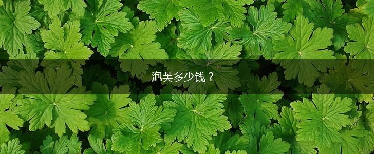泡芙多少钱？,第1张