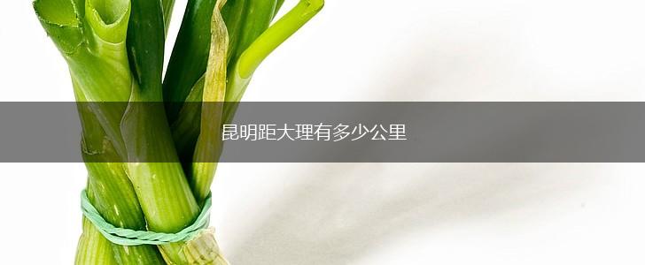 昆明距大理有多少公里,第1张