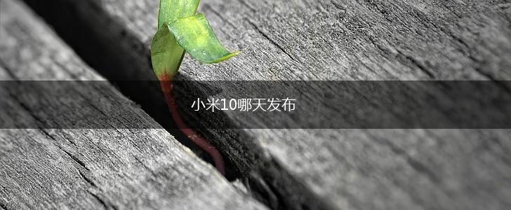 小米10哪天发布,第1张