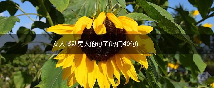 女人感动男人的句子(热门40句),第1张